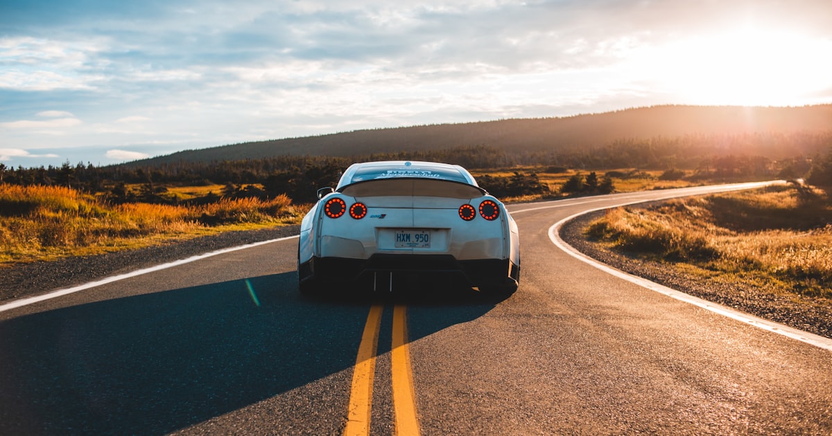 The World of Rally Racing