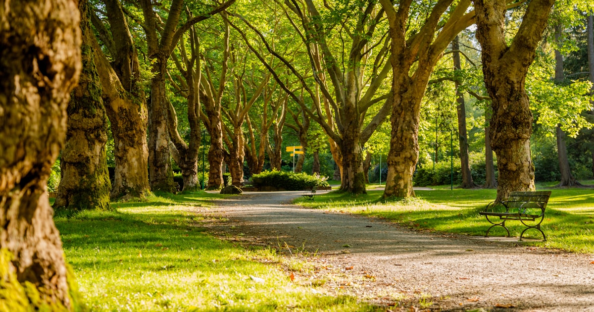 Urban Green Spaces