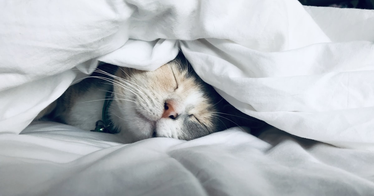 The Science of Sleep