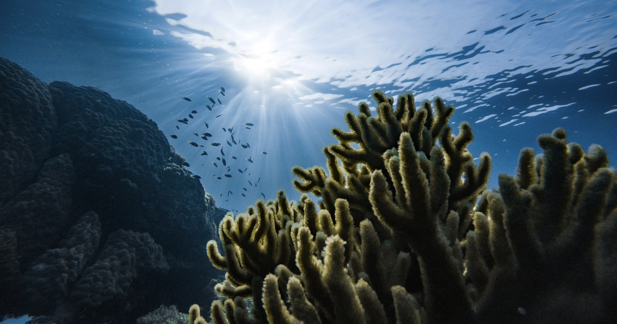 Mysteries of the Deep Ocean